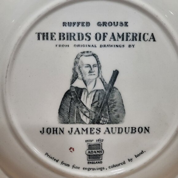 VTG Adams England Audubon Ruffed Grouse Birds of America Decorative Plate Chippe - Picture 3 of 14